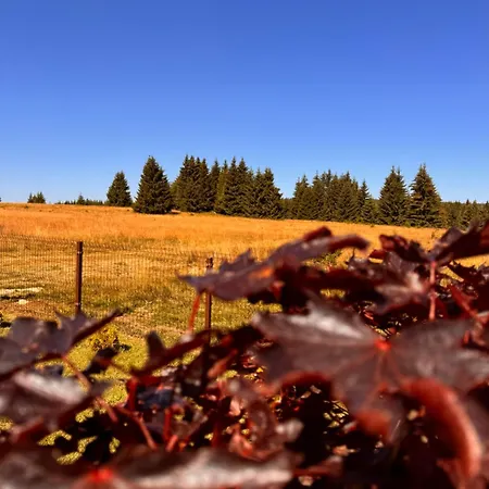 Topli Kutak Golija Willa