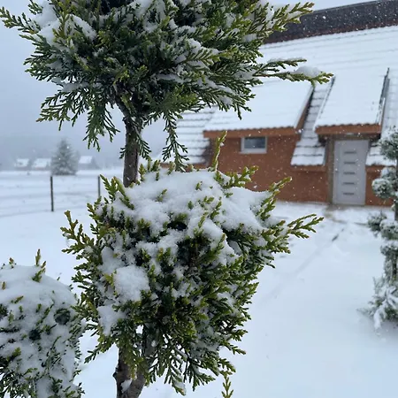 Willa Topli Kutak Golija