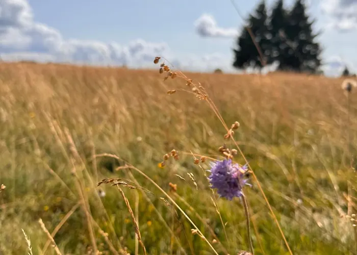 빌라 Topli Kutak Golija