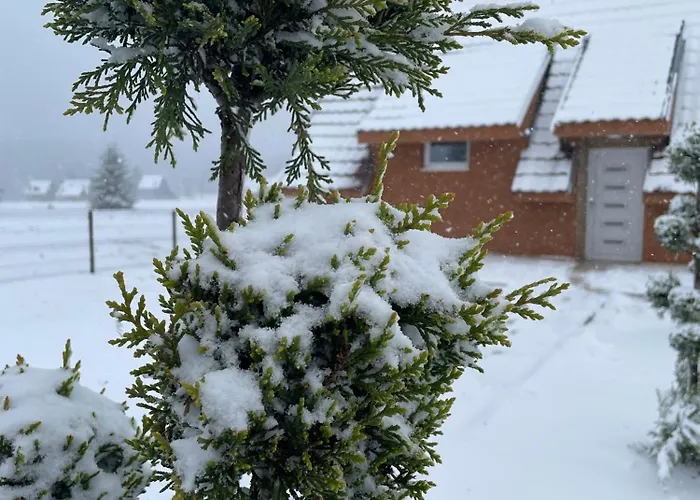 빌라 Topli Kutak Golija